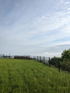 PXL_20220517_054322487.MP